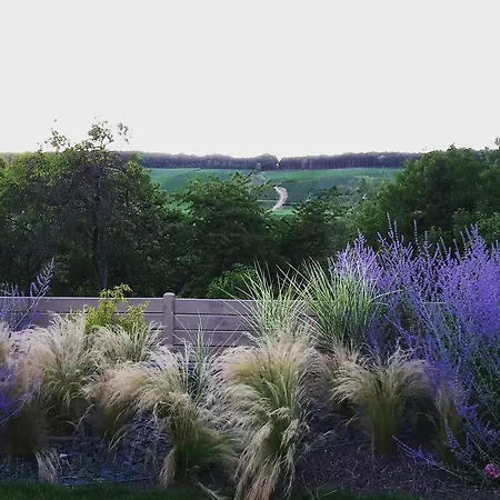 בית נופש Millesime Et Une Nuit Villers-sous-Châtillon